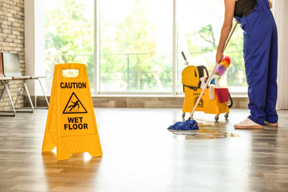 professional janitorial services